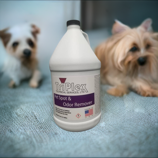 How to Clean Pet Urine from Carpet Without Leaving Odor